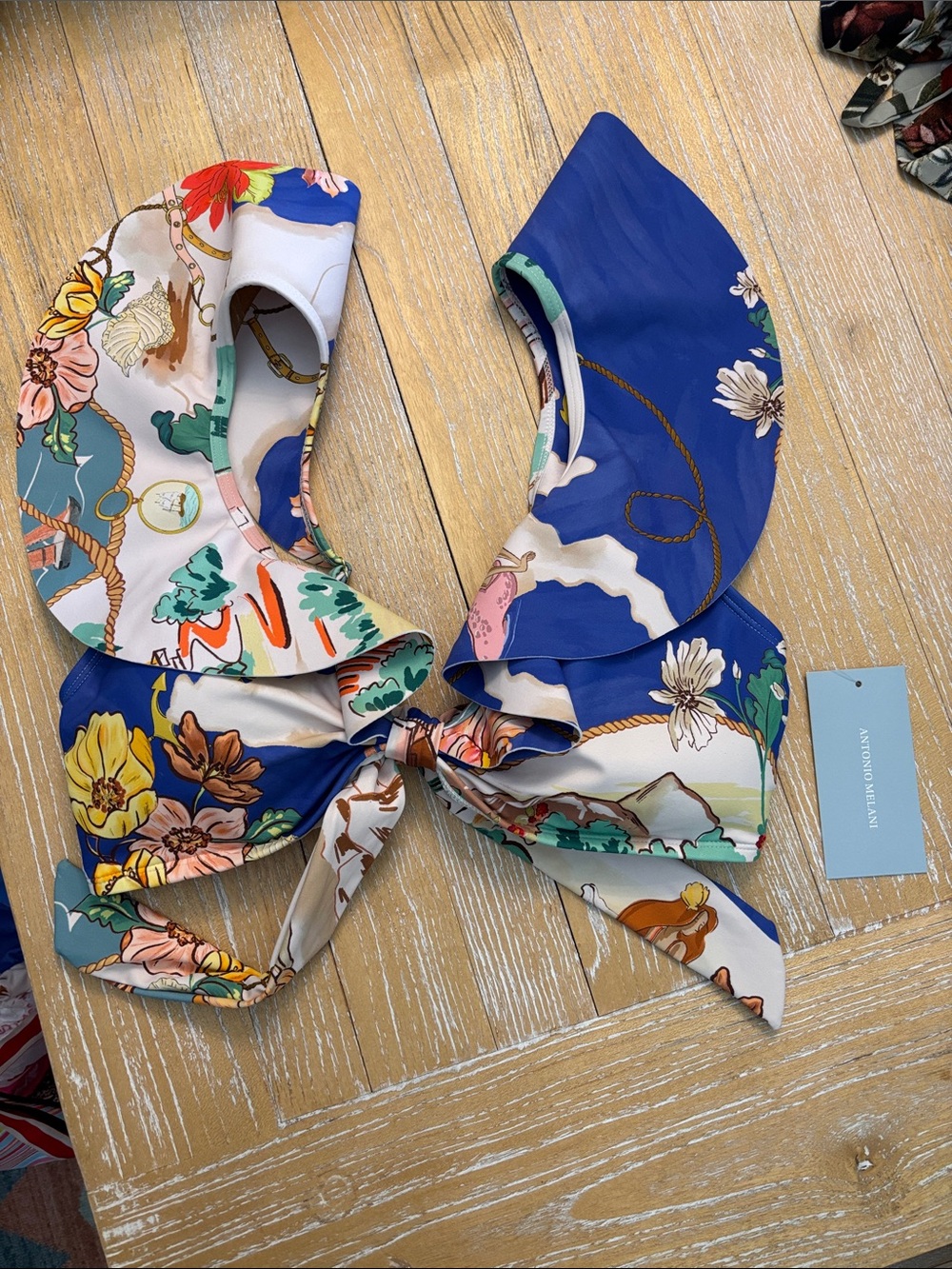 ANTONIO MELANI Swim Bikini Set Map Retro Hipster Pant, NWT - Picture 4 of 10